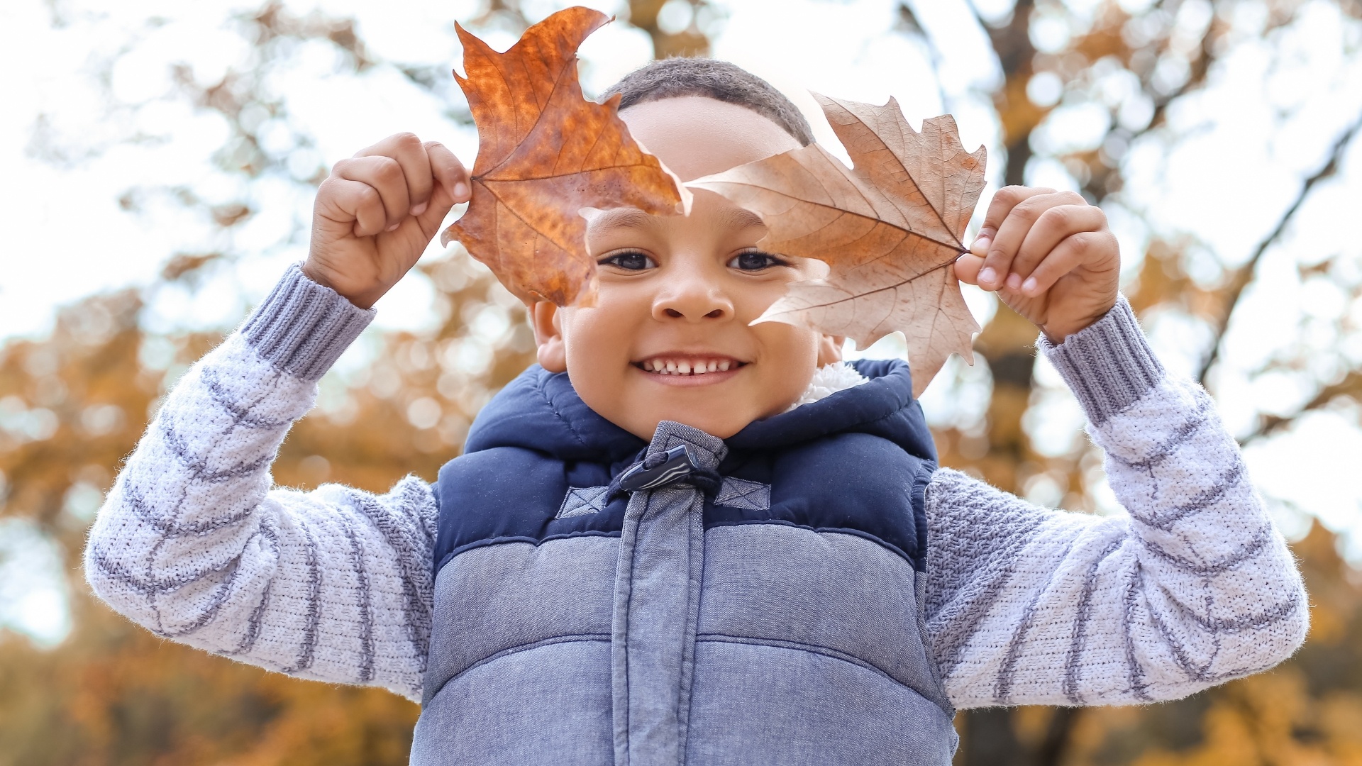 Start squirreling away some savings this Autumn!